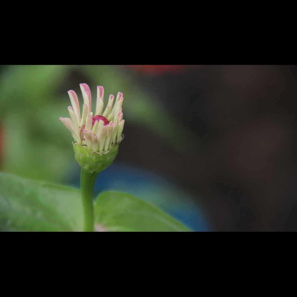 Postcards! - Picture 2 of 8